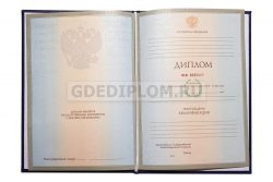 диплом РГУП 2004-2009