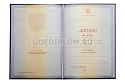 диплом РГУП 2010-2011