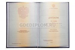 диплом РГУП 2012-2013